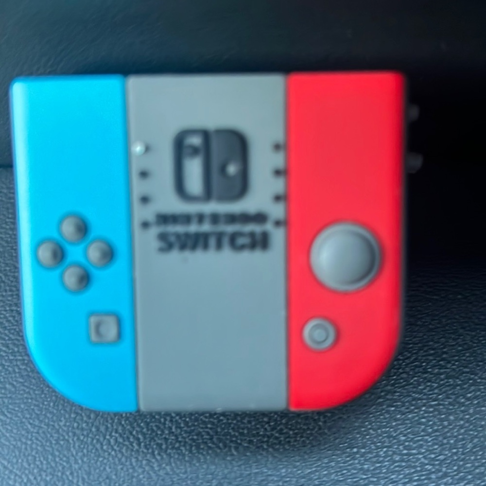 Nintendo case